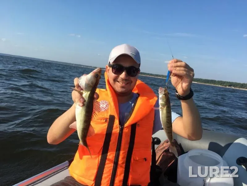 Zander — Vodoslivnoy kanal, Aug 07, 2019