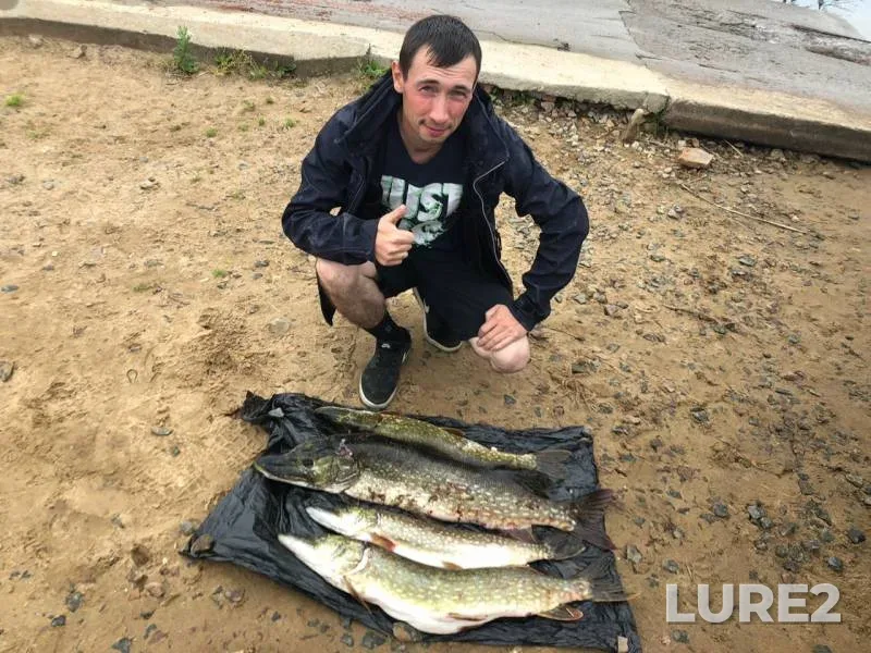 Bream, Carp — Novoladozhskiy kanal, Sep 02, 2019