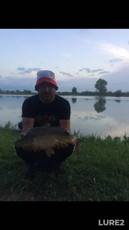 Carp — Fiagdon, May 04, 2019