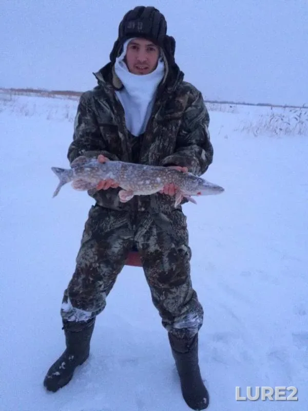 Perch, Pike — Nizhnekamskoye, Feb 10, 2019