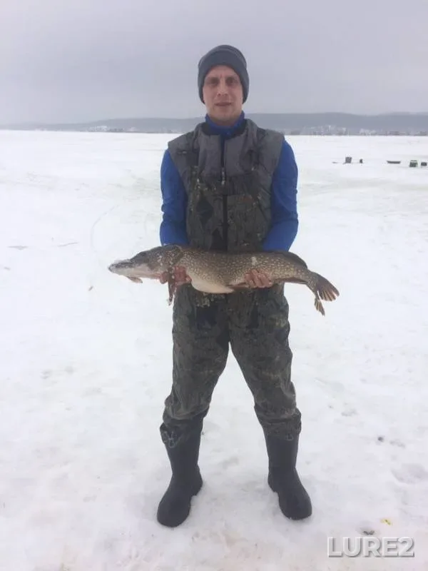 Pike — Olkhovoye, Mar 11, 2019