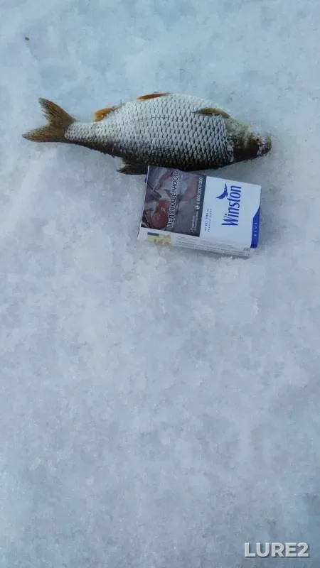 Pike, Roach — Kama, Mar 23, 2019