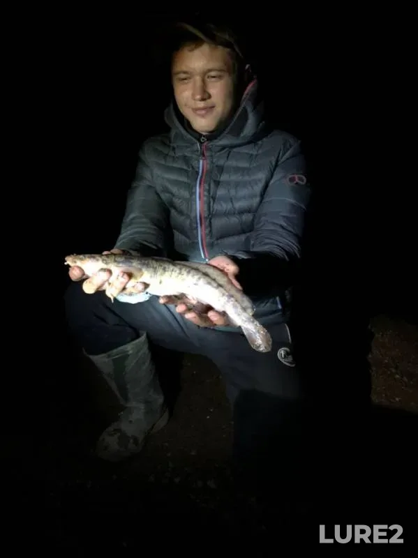 Burbot — Kama, Apr 29, 2019