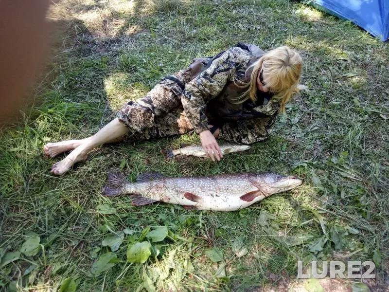 Pike — Nizhnekamskoye, Jun 10, 2019