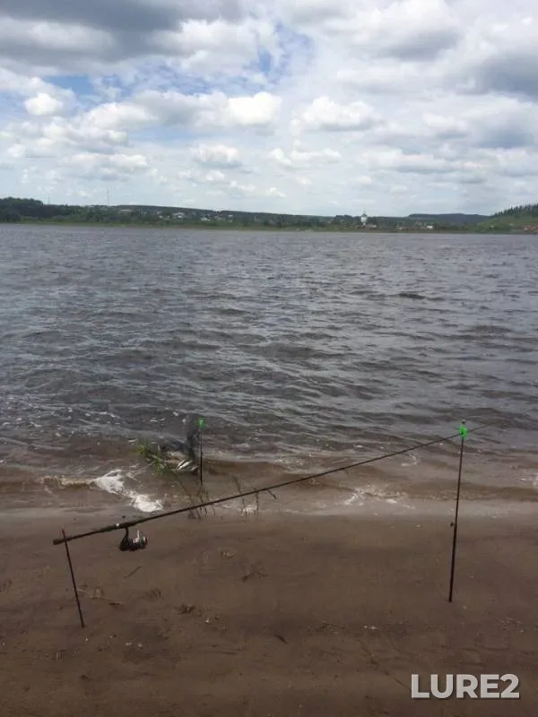 Bream, Roach — Kama, Jun 12, 2019