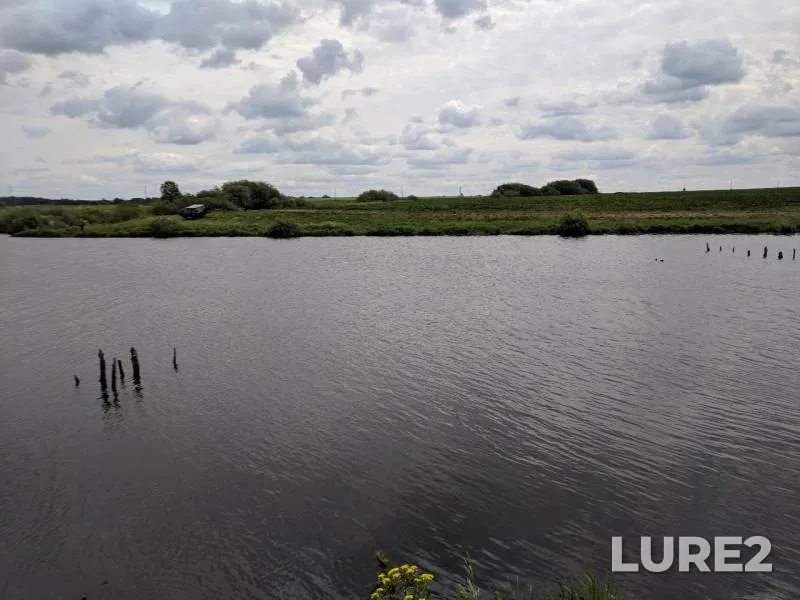 Crucian carp — Ilinskiy, Jun 12, 2019