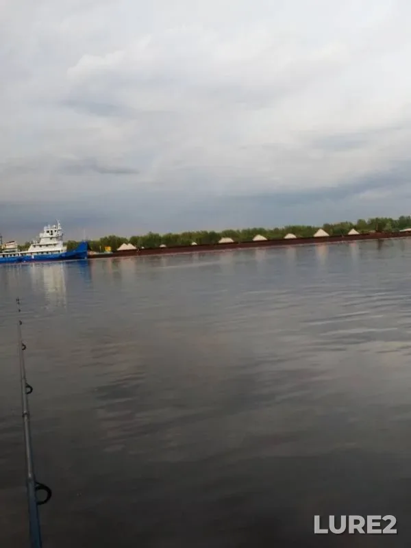 Zander — Udmurtskaya Respublika, Zavyalovskiy rayon, Jun 20, 2019