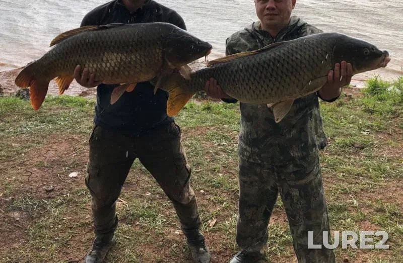 Carp — Sepychevskiy, Aug 25, 2019