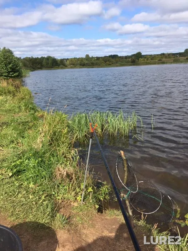 Crucian carp — Sardyk, Sep 03, 2019