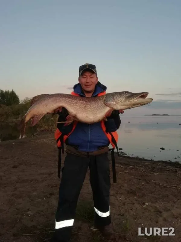 Pike — Akhtiyalka, Sep 05, 2019