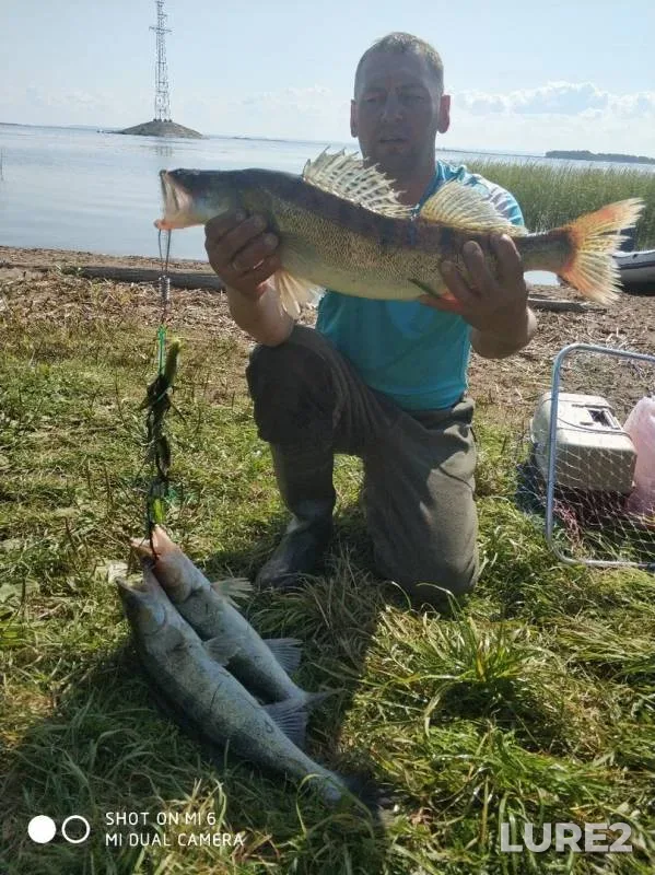 Zander — Izh, Sep 07, 2019