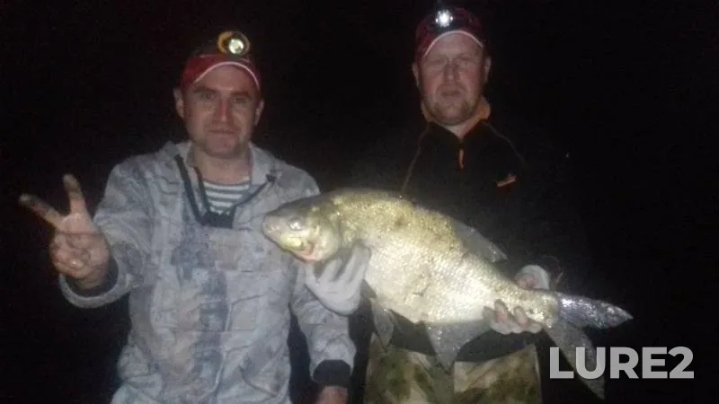 Bream — Kama, Sep 13, 2019