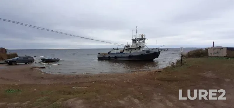 Pike — Nizhnekamskoye, Oct 02, 2019