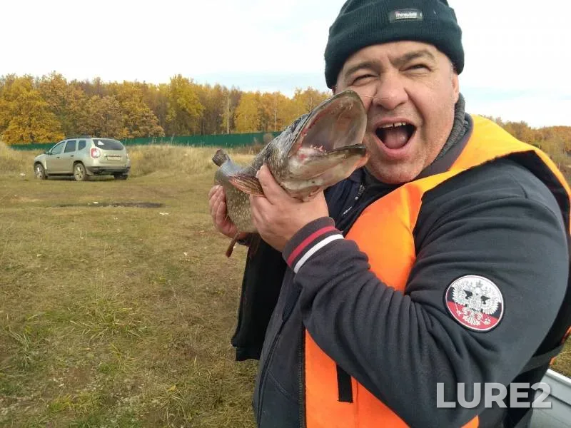 Pike — Medvedka, Oct 03, 2019