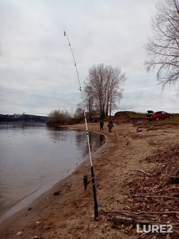 Bream, Burbot — Chernoye, Oct 13, 2019