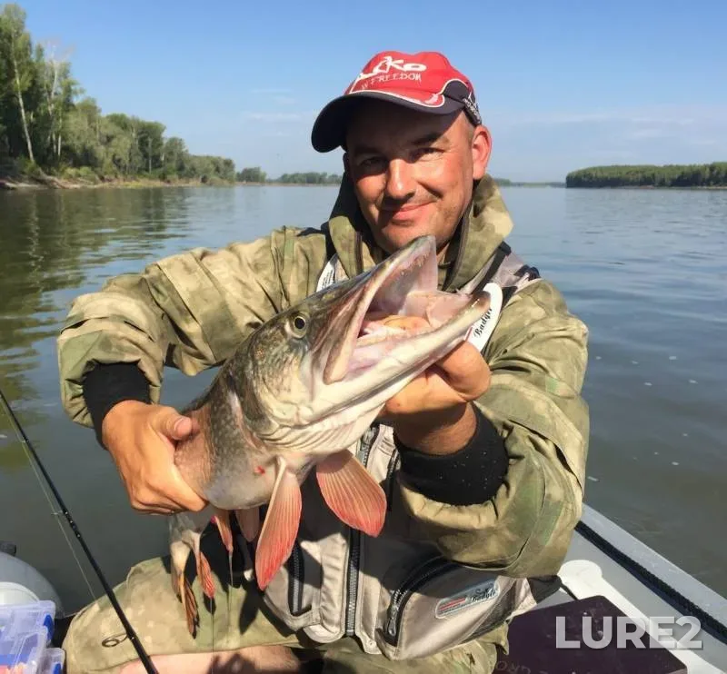 Pike — Ob, Jun 09, 2019