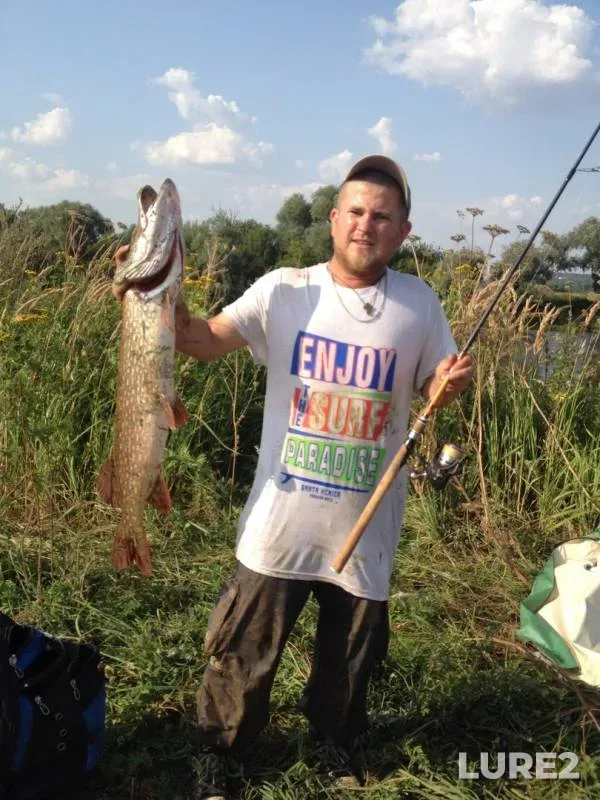 Pike — Moskva, Sep 20, 2019