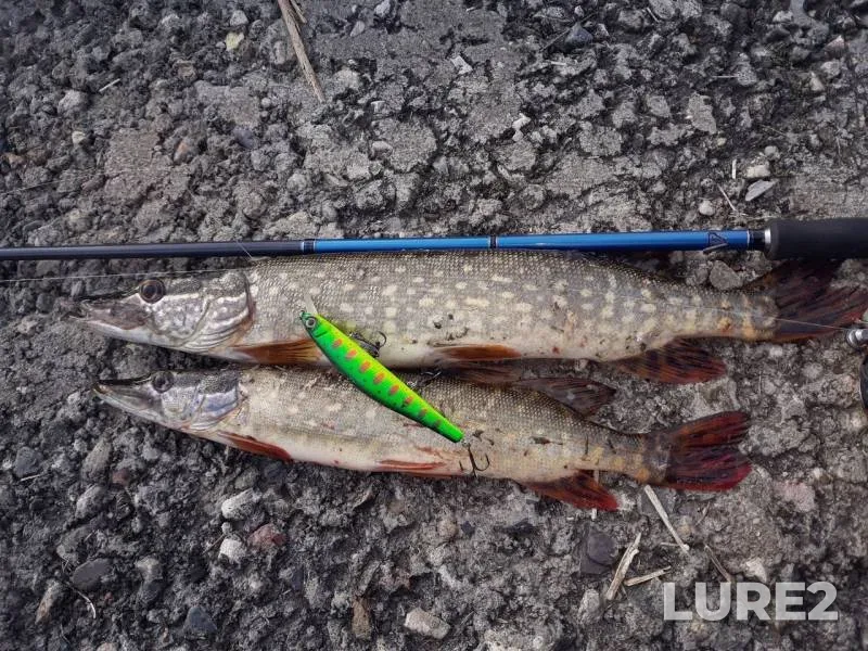 Pike — Kotorosl, May 25, 2018