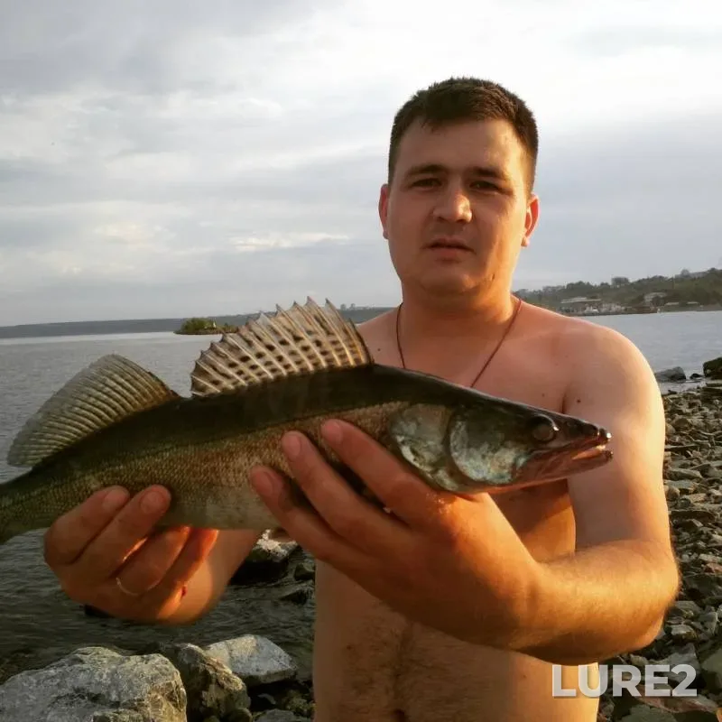 Zander — Kuybyshevskoye, Jul 02, 2018