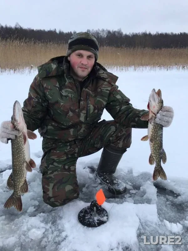 Pike — Obole, Dec 25, 2018