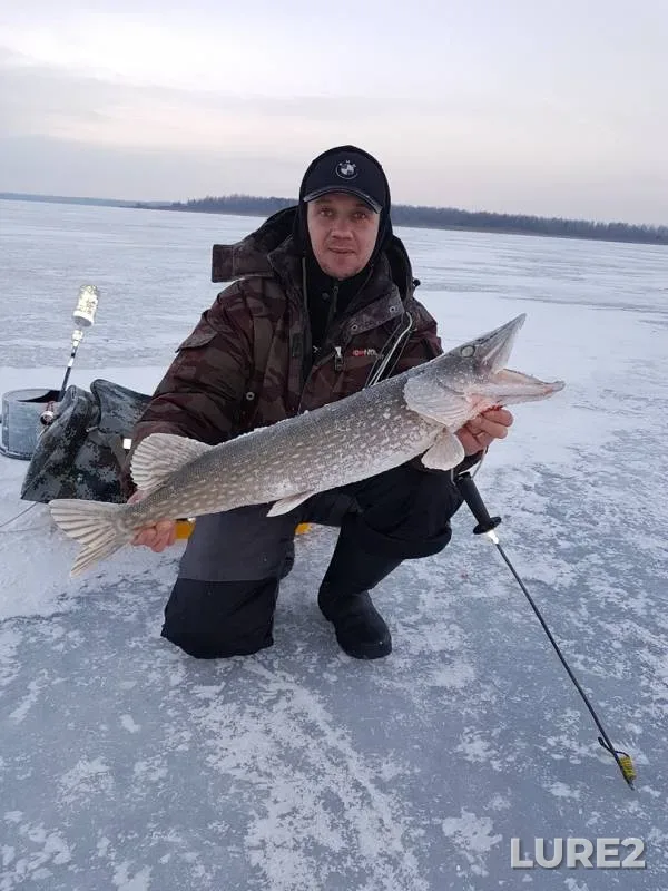 Pike — Moroch, Feb 07, 2019