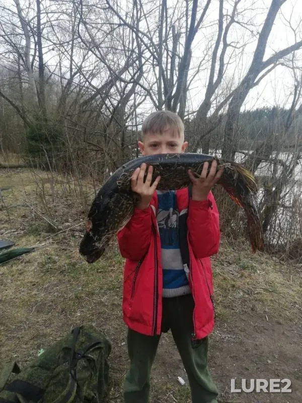 Pike — Vyacha, Apr 21, 2019