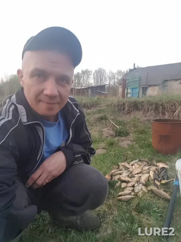Crucian carp — Usa, May 01, 2019
