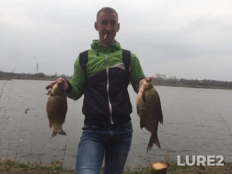 Bream, Crucian carp — Svisloch, Jul 24, 2019