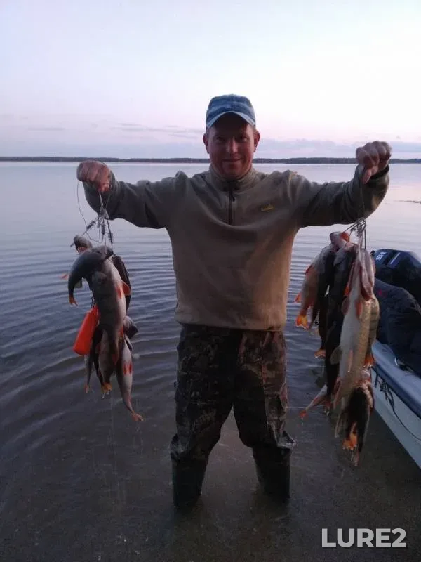 Perch, Pike — Pella, Aug 05, 2019