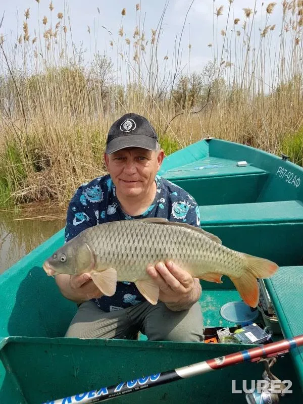 Bream, Roach — Astrakhanskaya oblast, Volodarskiy rayon, May 01, 2019