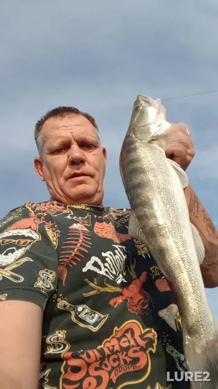 Zander — Astrakhanskaya oblast, Volodarskiy rayon, Jul 23, 2019