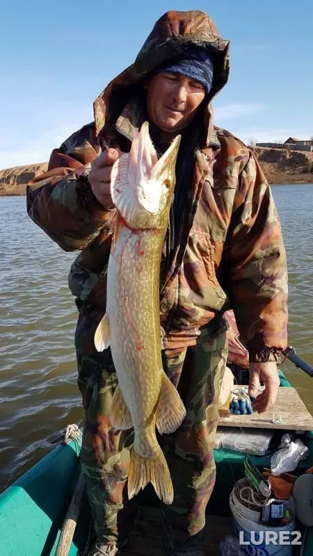 Pike — Buzan, Nov 10, 2019