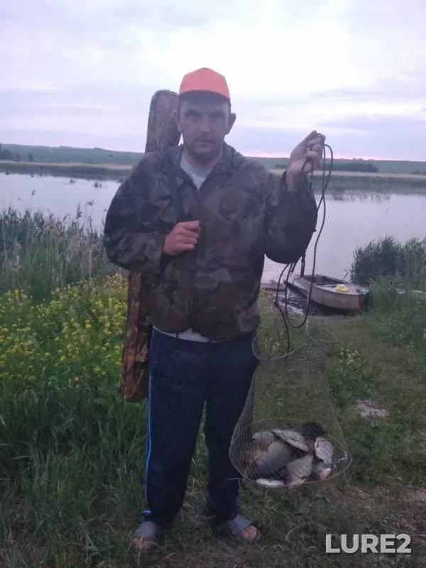 Carp, Crucian carp — Akbash, Jun 18, 2019