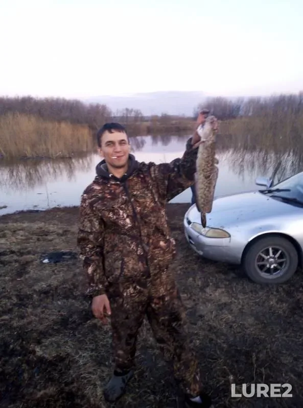 Burbot — Inya, Apr 06, 2019