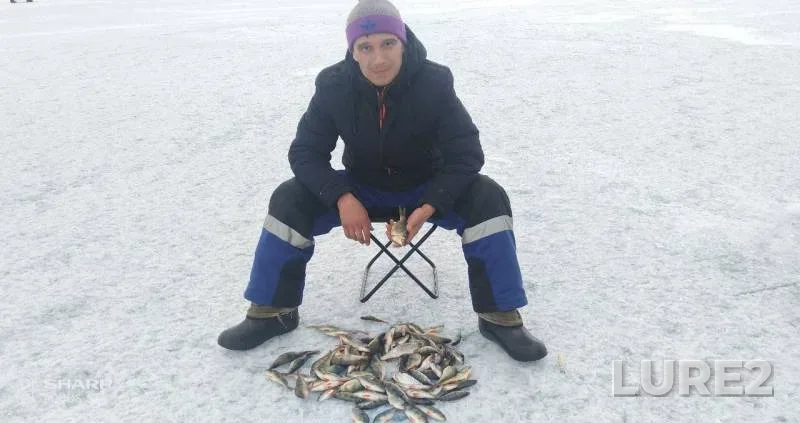Perch — Bolshoye, Apr 07, 2019