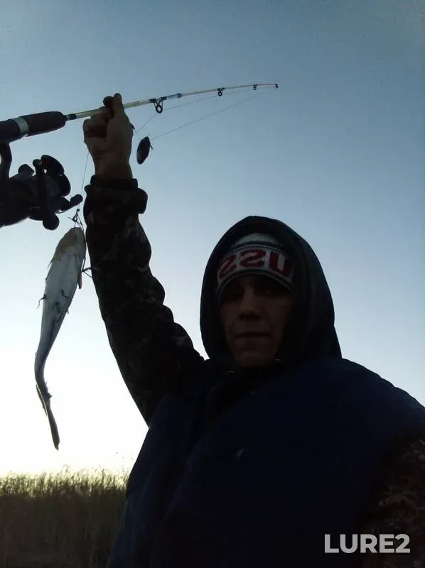 Burbot — Inya, Apr 08, 2019