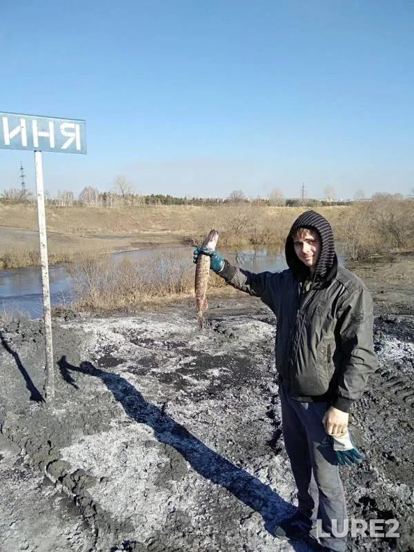 Burbot — Inya, Apr 09, 2019
