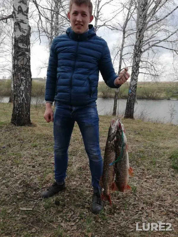 Pike — Vagina, May 19, 2019