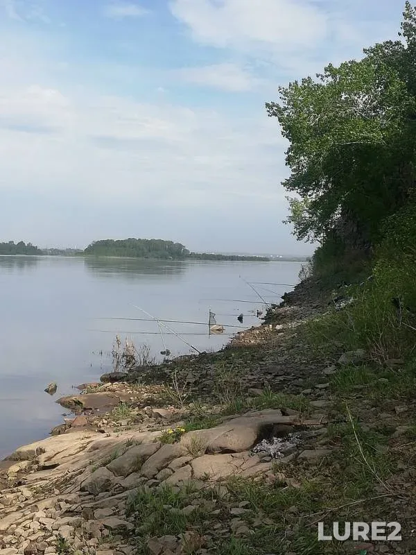 Ide, Perch — Tom, May 30, 2019