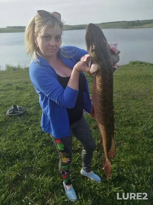 Pike — Kemerovskaya oblast, Jun 08, 2019