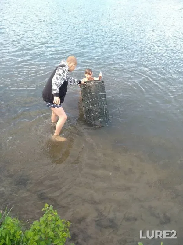 Roach — Krasnoye, Jun 10, 2019