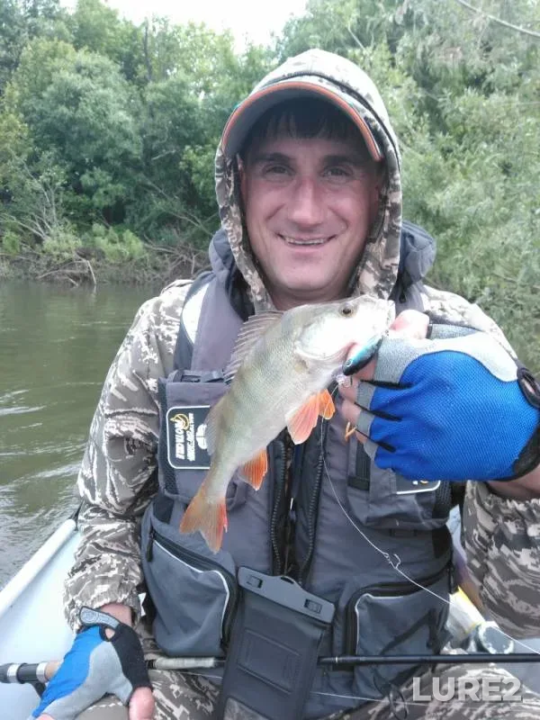 Ide, Perch — Tom, Jun 15, 2019