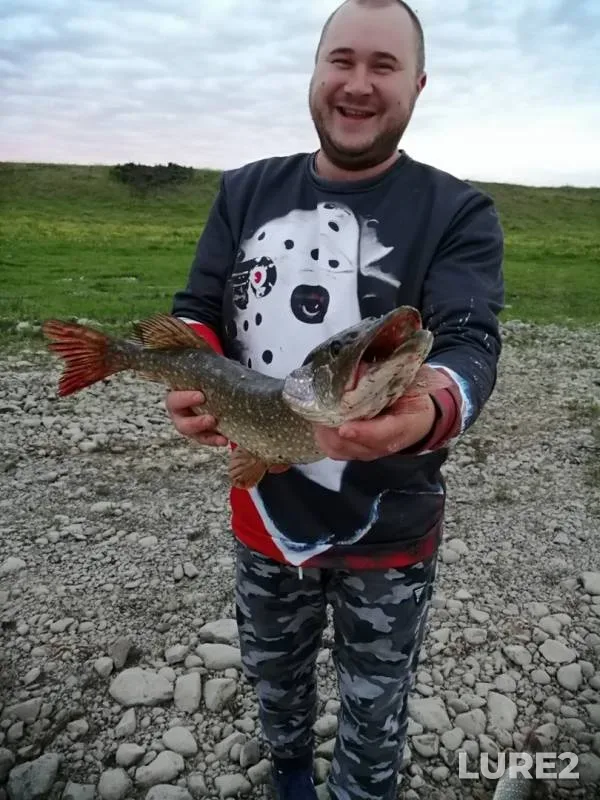 Pike — Tom, Jun 15, 2019