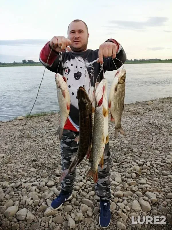 Ide, Pike — Tom, Jun 16, 2019