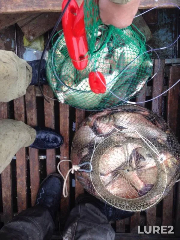 Bream — Kama, Sep 21, 2017