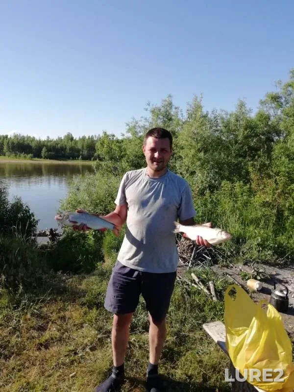Bream, Ide — Kiya, Jun 22, 2019