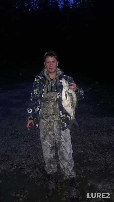 Bream, Ide — Tom, Jun 24, 2019