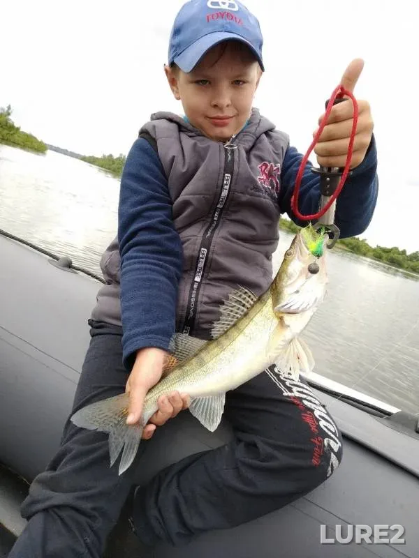 Zander — Tom, Jun 28, 2019