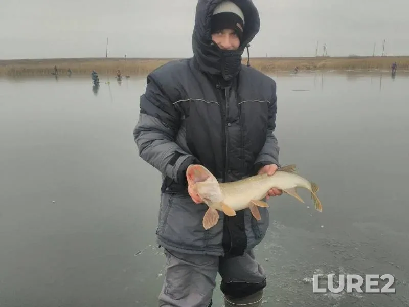 Pike — Respublika Tatarstan, Dec 02, 2017
