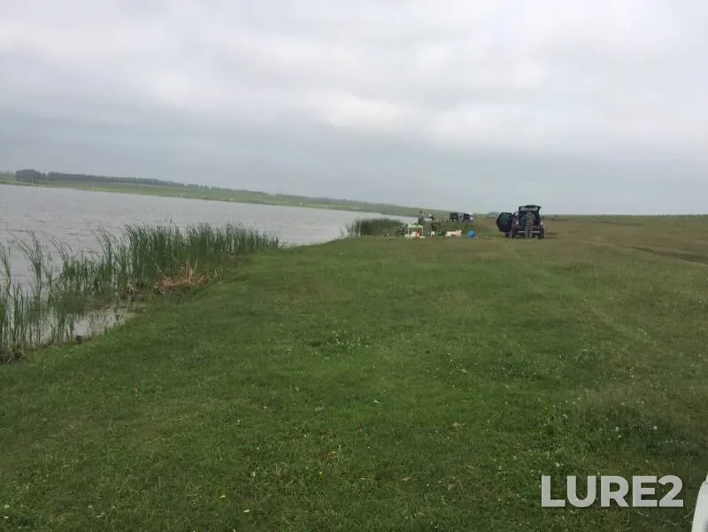Crucian carp, Perch — Krivoy Uskat, Jun 29, 2019